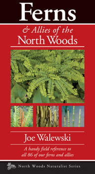 Paperback Ferns & Allies of the North Woods: A Handy Field Reference to All 86 of Our Ferns and Allies Book
