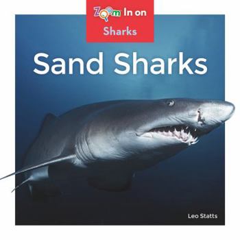 Sand Sharks - Book  of the Zoom in on Sharks
