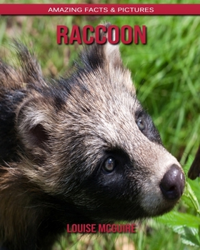 Raccoon: Amazing Facts & Pictures