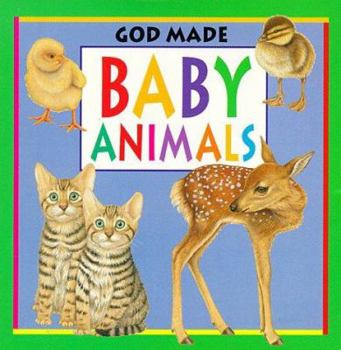 Board book Baby Animals Book