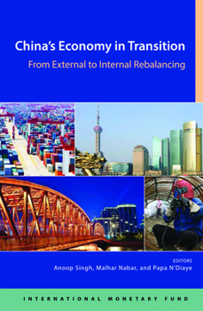 Paperback China's Economy in Transition: From External to Domestic Re-Balancing Book