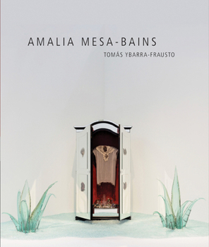 Paperback Amalia Mesa-Bains: Rituals of Memory, Migration, and Cultural Space Book