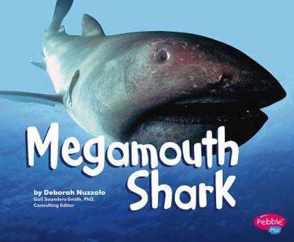 Hardcover Megamouth Shark Book