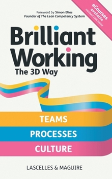 Brilliant Working the 3D Way: Continuous improvement for working teams, processes and culture