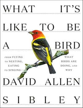 Hardcover What It's Like to Be a Bird: From Flying to Nesting, Eating to Singing--What Birds Are Doing, and Why Book