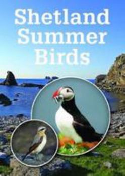 Paperback Shetland Summer Birds Book