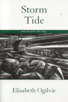 Paperback Storm Tide Book