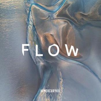 Vinyl FLOW (Clear LP) Book