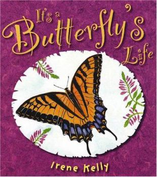 Library Binding It's a Butterfly's Life Book