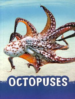 Octopuses