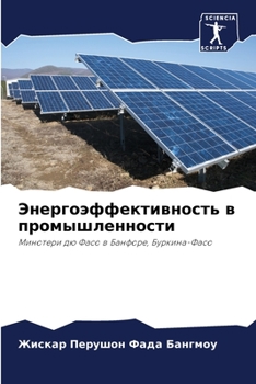 Paperback Энергоэффективность в п& [Russian] Book