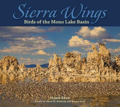 Paperback Sierra Wings: Birds of the Mono Lake Basin Book