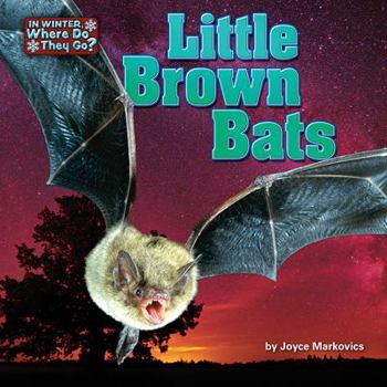 Library Binding Little Brown Bats Book