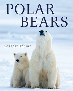 Hardcover Polar Bears Book