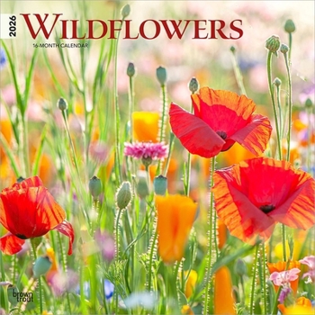 Wildflowers 2026 12 X 24 Inch (Hanging) Monthly Square Wall Calendar Plastic-Free
