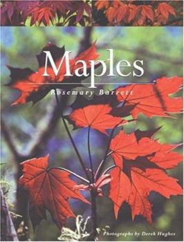 Hardcover Maples Book