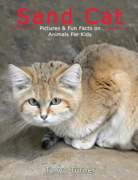 Paperback Sand Cat: Pictures & Fun Facts on Animals For Kids Book