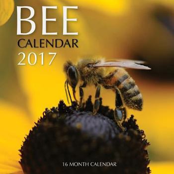 Paperback Bee Calendar 2017: 16 Month Calendar Book