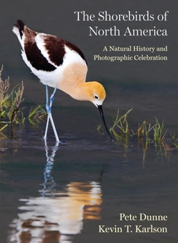 Hardcover The Shorebirds of North America: A Natural History and Photographic Celebration Book