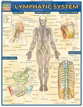 Lymphatic System