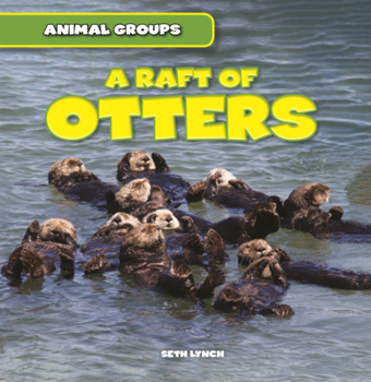 Raft of Otters