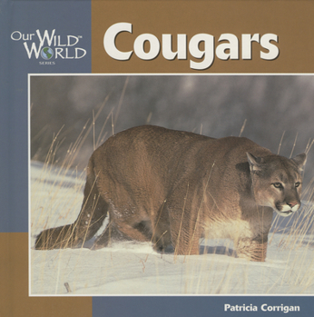 Hardcover Cougars (Our Wild World) Book