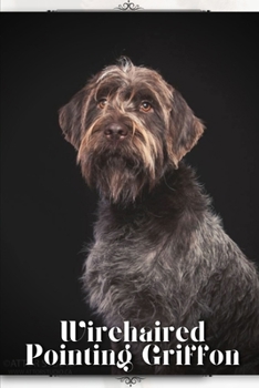 Paperback Wirehaired Pointing Griffon: Dog breed overview and guide Book