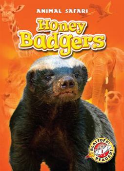 Honey Badgers - Book  of the Animal Safari