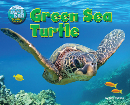 Paperback Green Sea Turtle Book