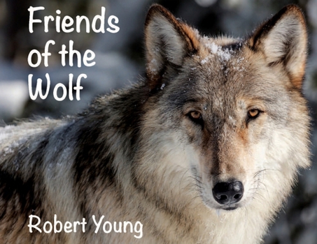 Paperback Friends of the Wolf Book