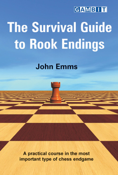 Paperback The Survival Guide to Rook Endings Book