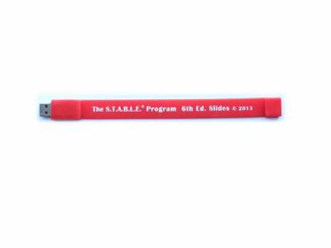Hardcover The S.T.A.B.L.E. Program Learner/Provider USB Flash Drive Book