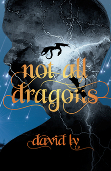 Paperback Not All Dragons Book