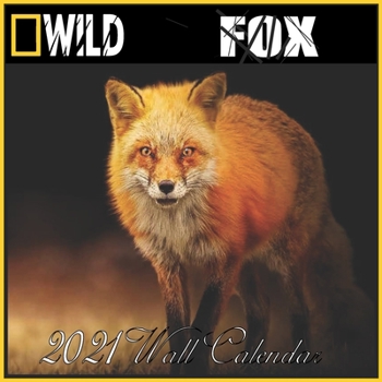 Paperback Fox Calendar 2021: Fox calendar 2021 "8.5x8.5" Inch 16 Months JAN 2021 TO APR 2022 finished and Glossy Book