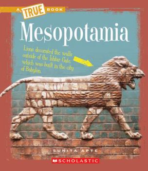 Paperback Mesopotamia Book