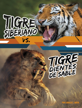 Tigre siberiano vs. tigre dientes de sable (Batallas Bestiales) (Spanish Edition)