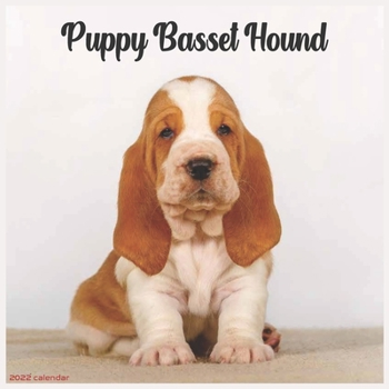 Basset Hound Puppy 2022 Calendar: Official Basset Hound Dog breed 2022 Calendar, 16 Months
