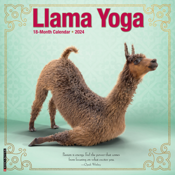 Calendar Llama Yoga 2024 12 X 12 Wall Calendar Book