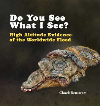 Hardcover Do You See What I See? High Altitude Evidence of the Worldwide Flood. Book