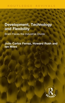 Hardcover Development, Technology and Flexibility: Brazil Faces the Industrial Divide Book
