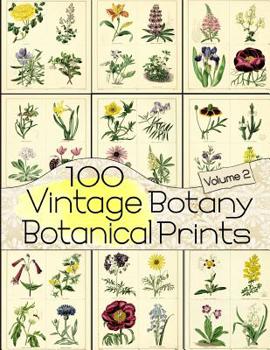 Paperback 100 Vintage Botany Botanical Prints Volume 2 Book