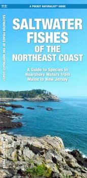 Saltwater Game Fish of Northeast Coast Nearshore Waters: A Guide to Species, Rules, and Tips for Fishing Maine, New Hampshire, Massachusetts, Rhode Is