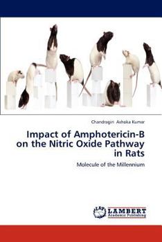 Paperback Impact of Amphotericin-B on the Nitric Oxide Pathway in Rats Book