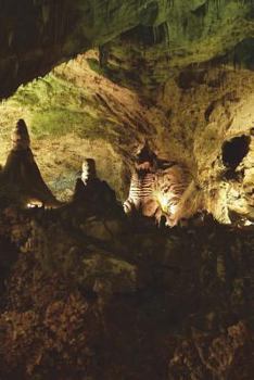 Paperback Carlsbad Caverns National Park New Mexico Journal: 150 page lined notebook/diary Book