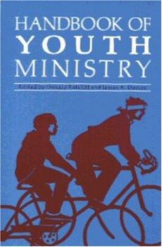 Paperback Handbook of Youth Ministry Book