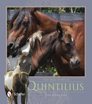 Paperback The True Story of Quintilius Book