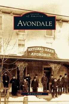 Hardcover Avondale Book