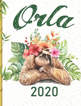 Paperback Orla: 2020 Planner Book