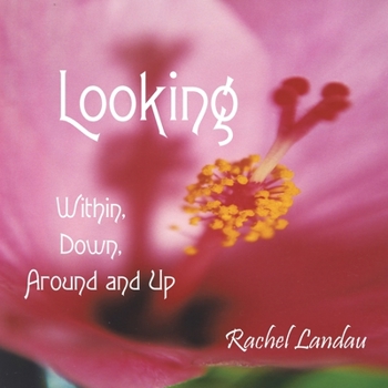 Paperback Looking: Within, Down, Around and Up Book