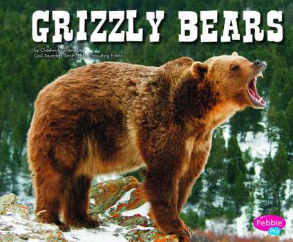 Hardcover Grizzly Bears Book